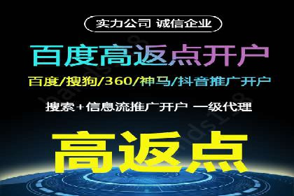 百度竞价排名实战：某行业领先企业的成功之路